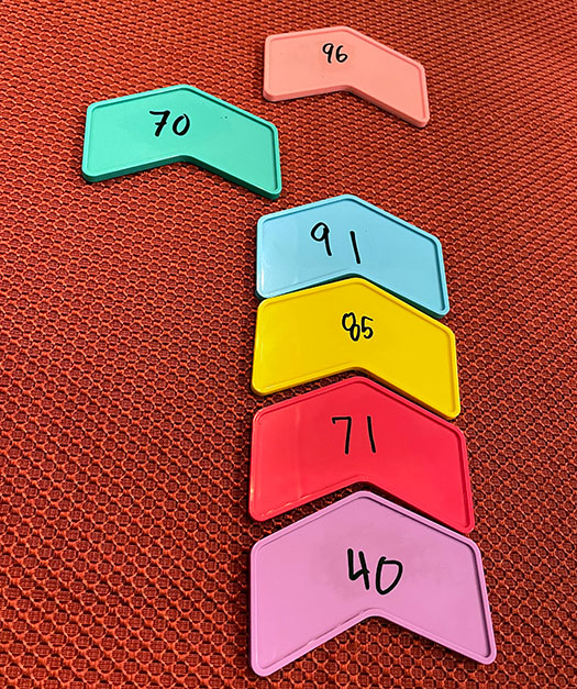 Fun Facts party game