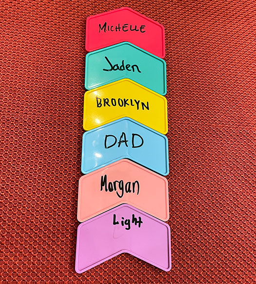 Fun Facts party game